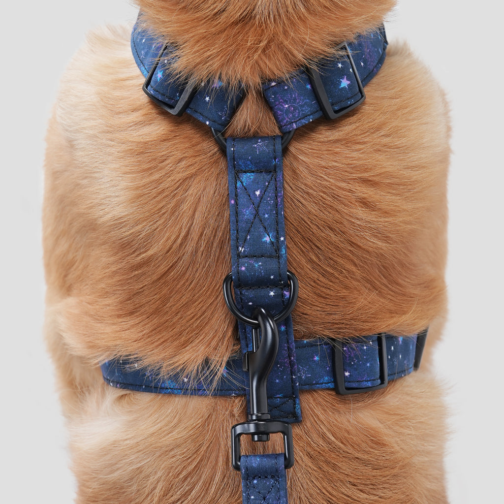 Dog wears 100% Cotton Adjustable No Pull Dog Harness Galaxy Stars back