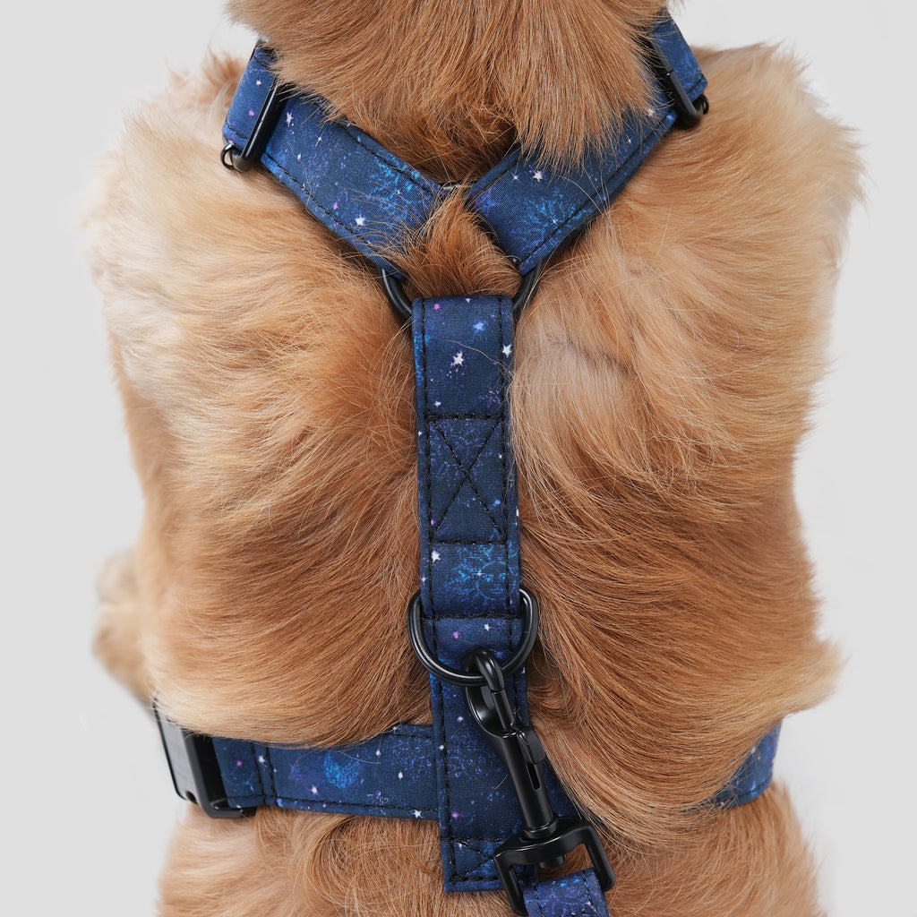Dog wears 100% Cotton Adjustable No Pull Dog Harness Galaxy Stars  back