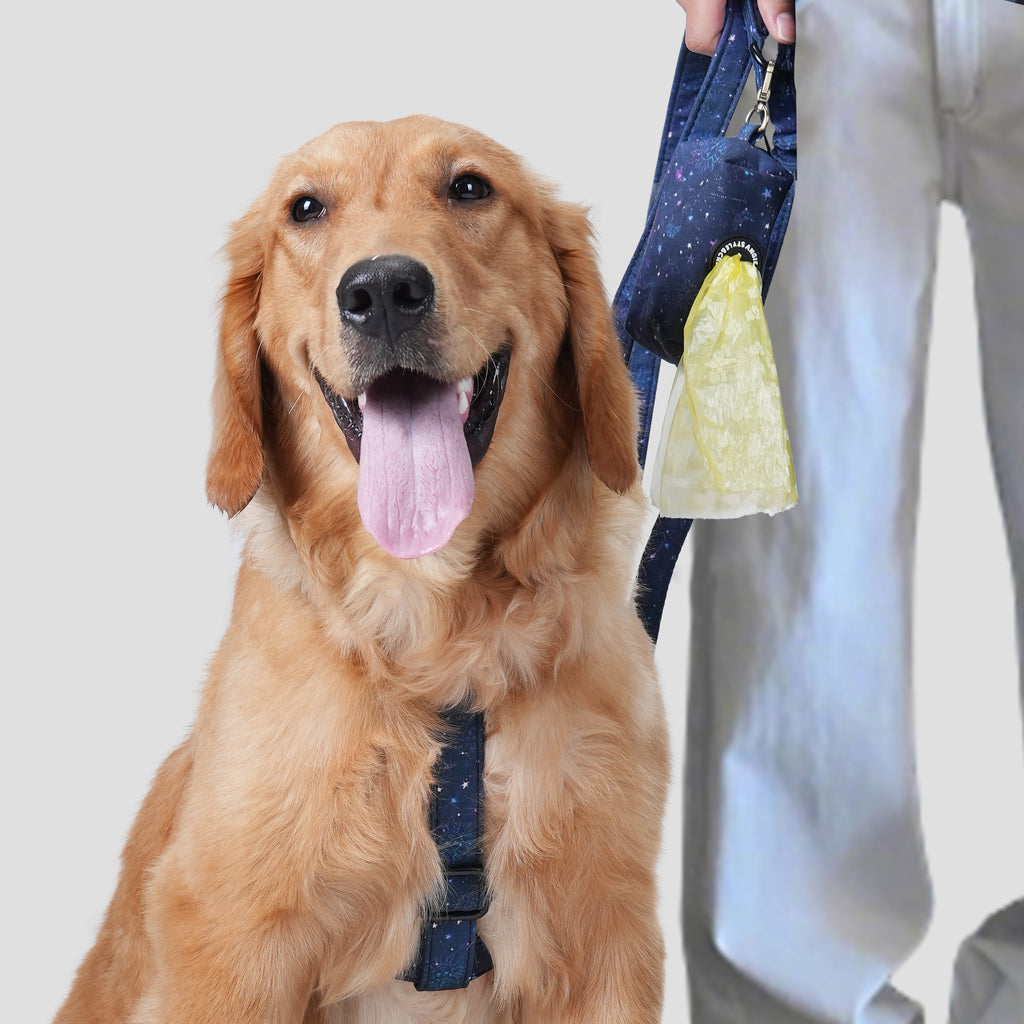 Dog wears 100% Cotton Adjustable No Pull Dog Harness Galaxy Stars  front-1