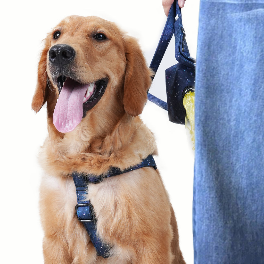 Dog wears 100% Cotton Adjustable Step In Dog Harness Black Galaxy Stars front-1