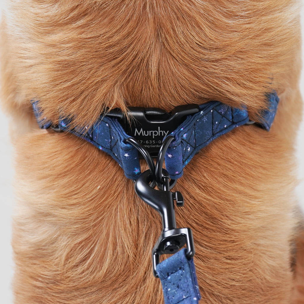Dog wears 100% Cotton Adjustable Step In Dog Harness Black Galaxy Stars back