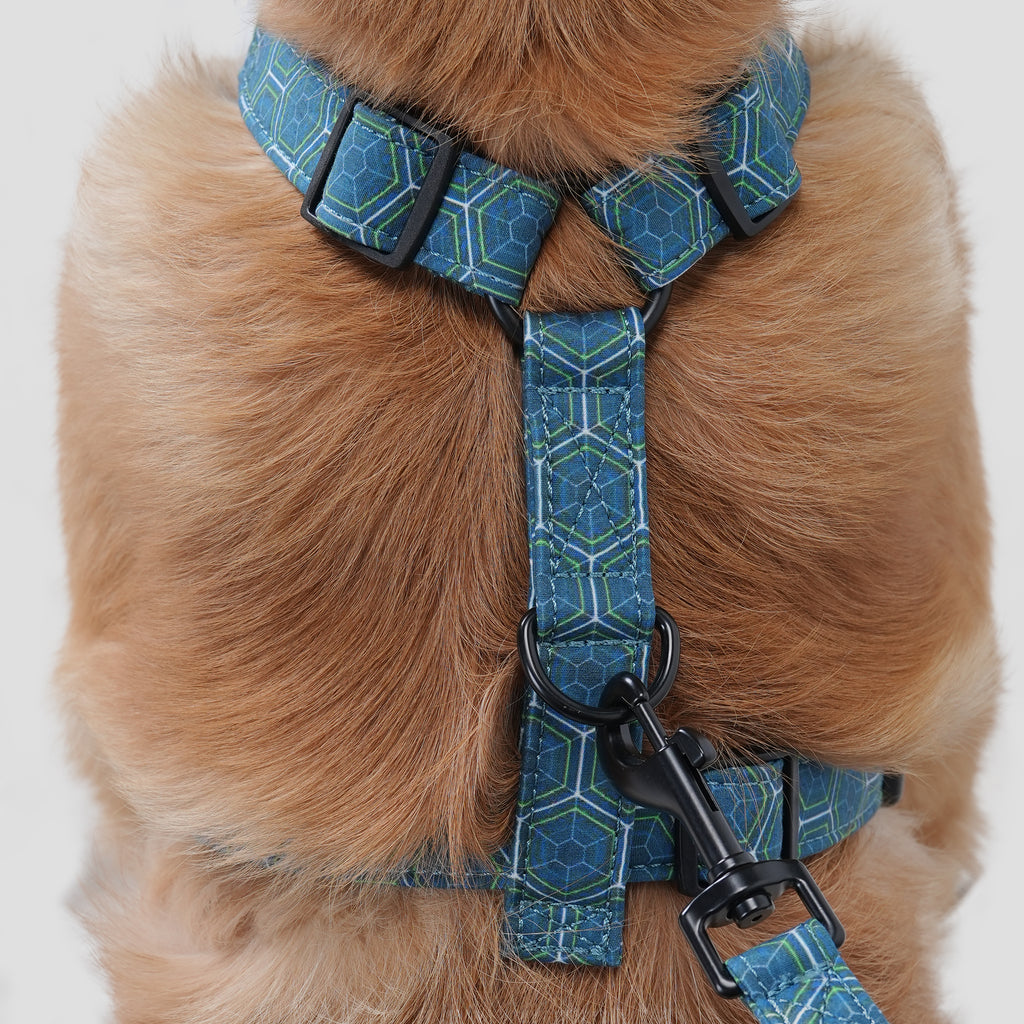 Dog wears 100% Cotton Adjustable No Pull Dog Harness Honeycomb  back