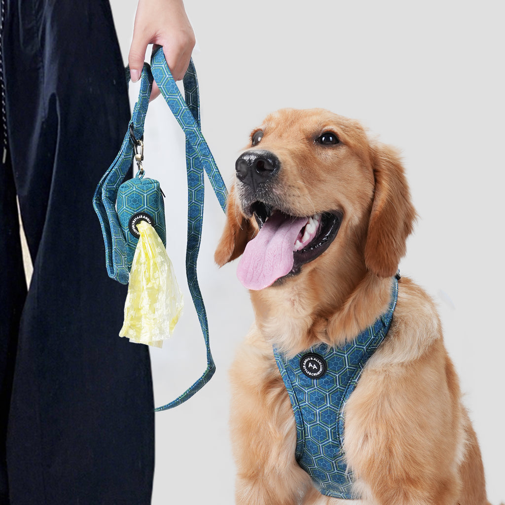 Dog wears 100% Cotton Adjustable No Pull Dog Harness Honeycomb front-1