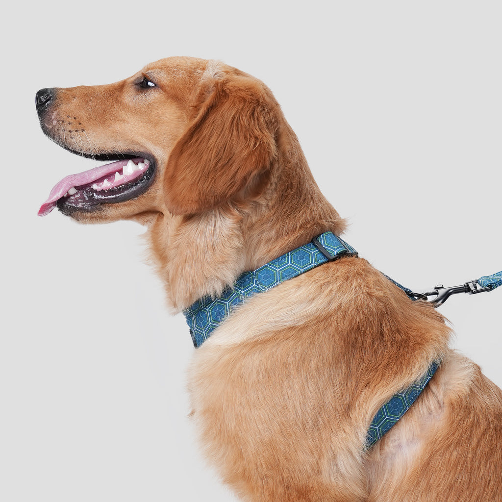 Dog wears 100% Cotton Adjustable No Pull Dog Harness Honeycomb  side