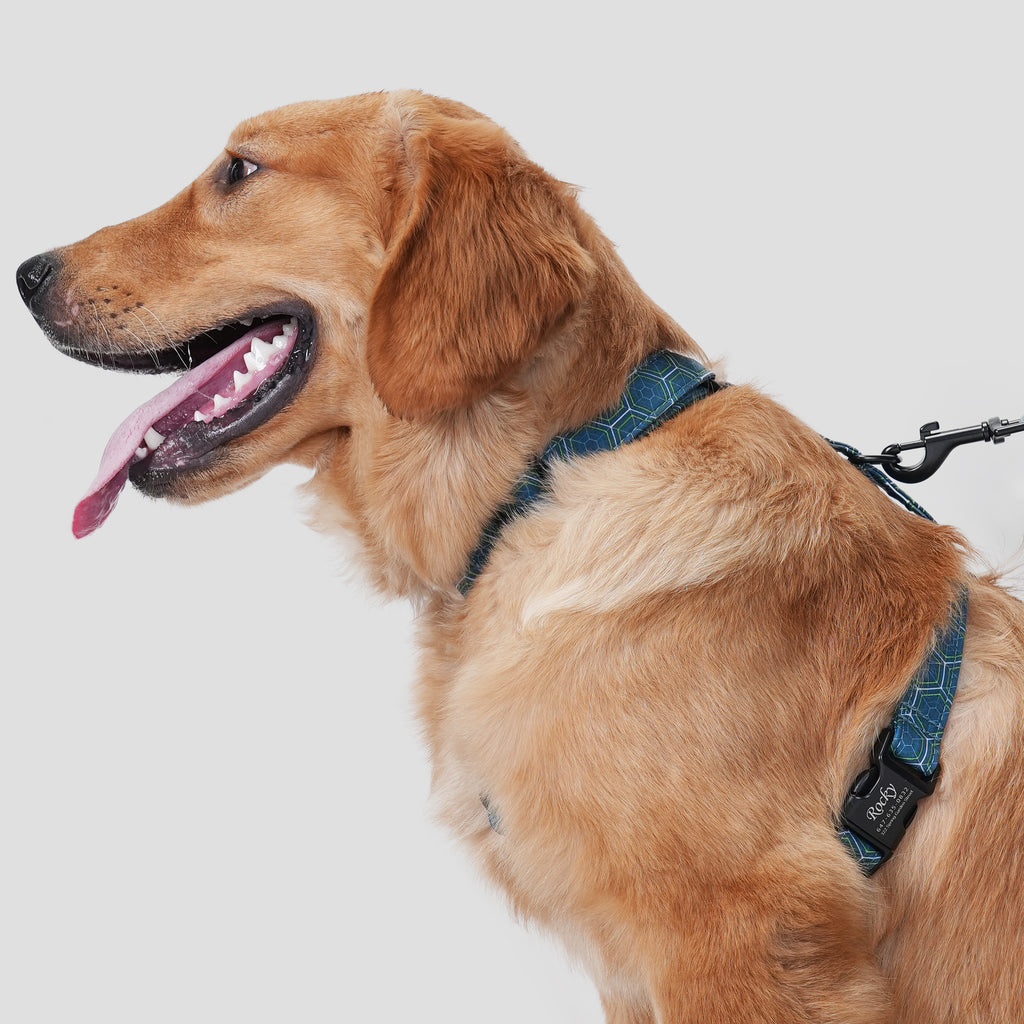 Dog wears 100% Cotton Adjustable No Pull Dog Harness Honeycomb side