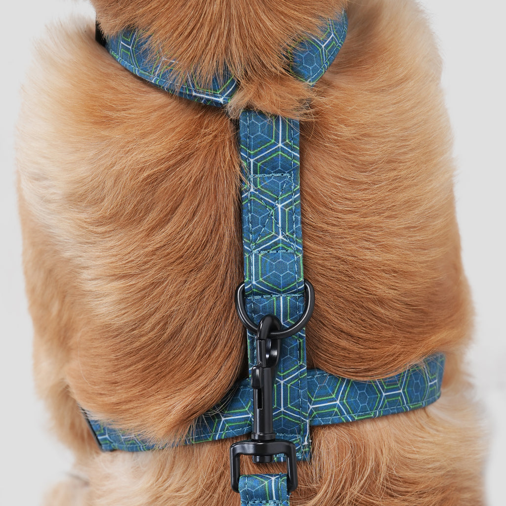 Dog wears 100% Cotton Adjustable No Pull Dog Harness Honeycomb back