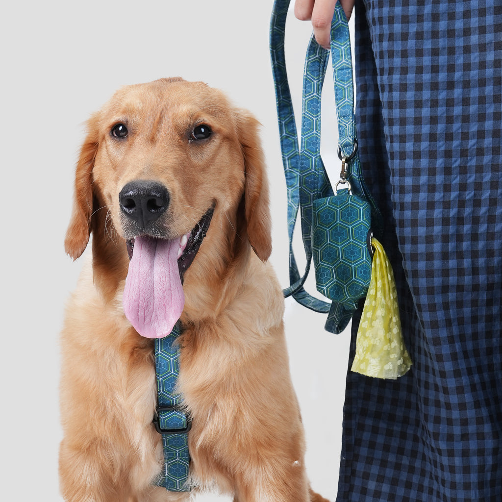 Dog wears 100% Cotton Adjustable No Pull Dog Harness Honeycomb front-1