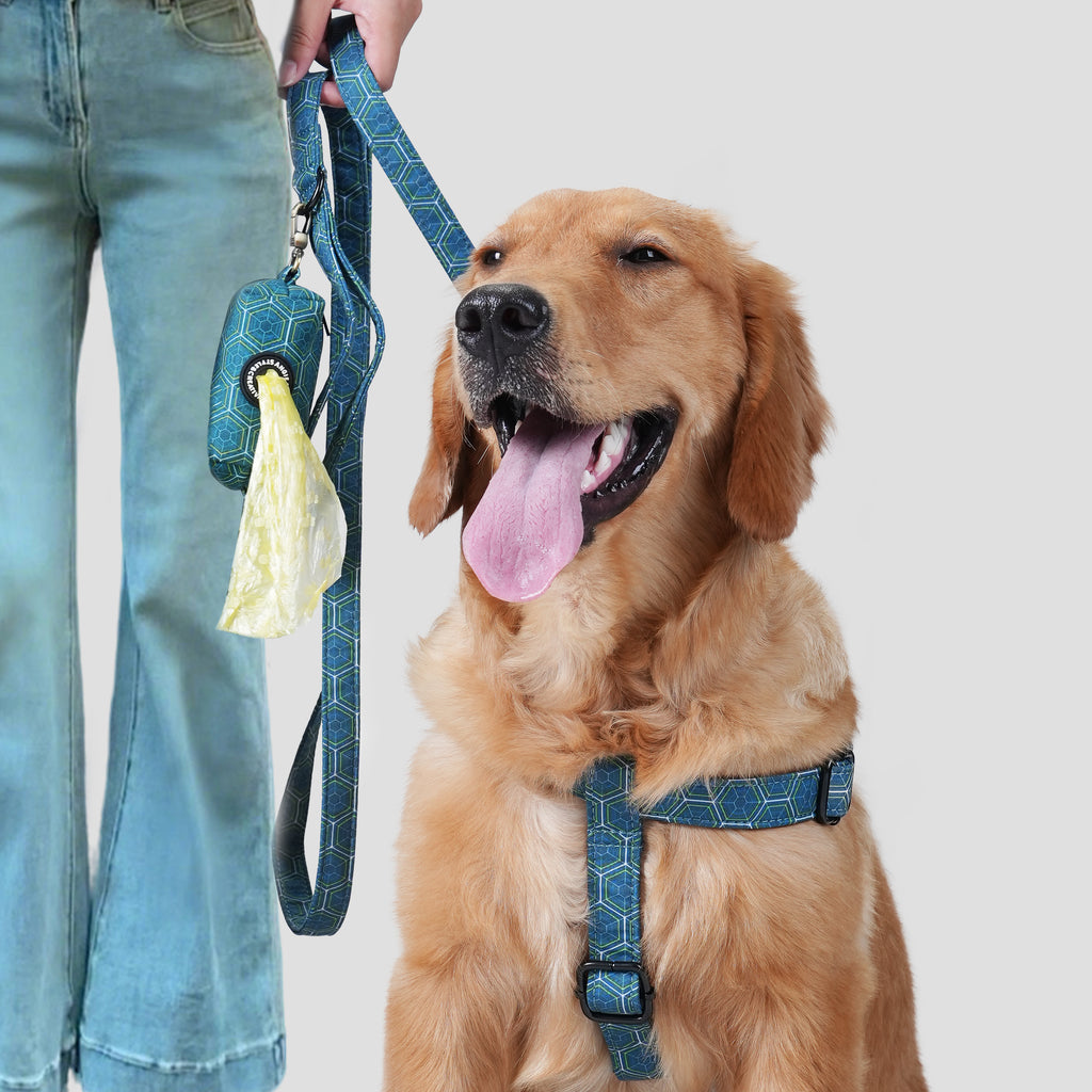 Dog wears 100% Cotton Adjustable Step In Dog Harness Black   front-1