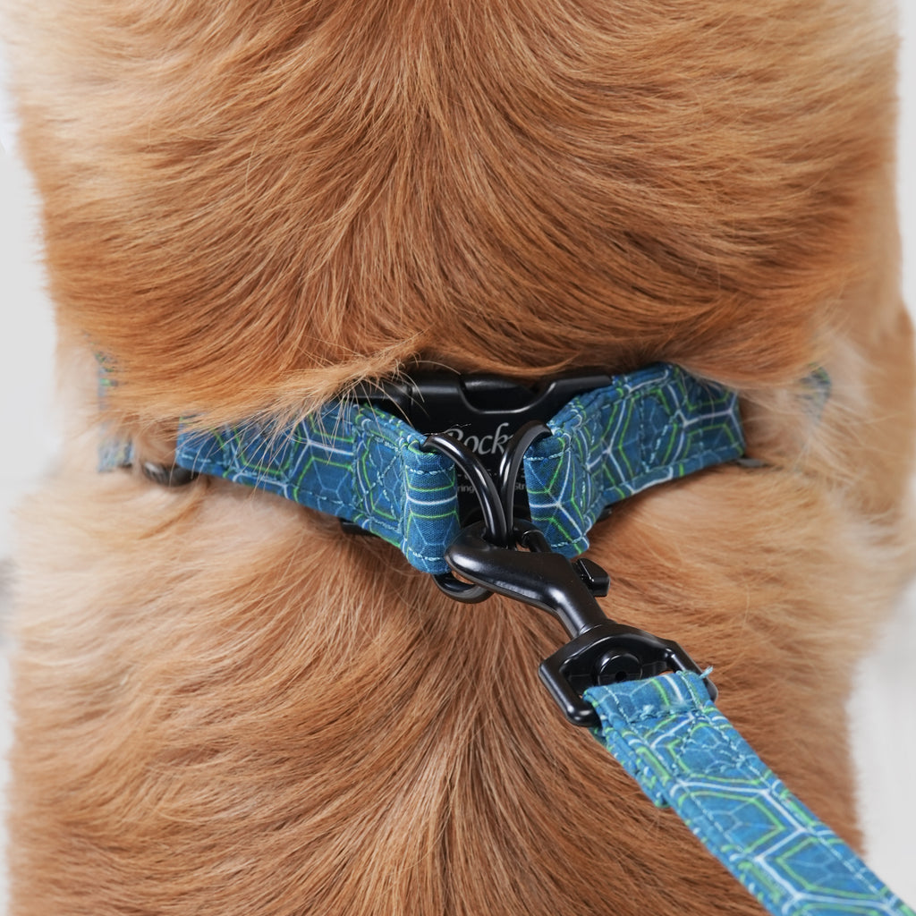 Dog wears 100% Cotton Adjustable Step In Dog Harness Black   back