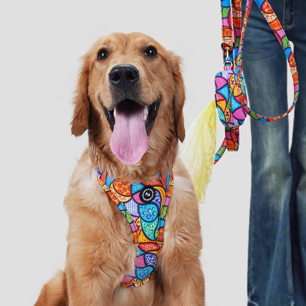 Dog wearing a dream fantasy patterned harness and a leash near a person