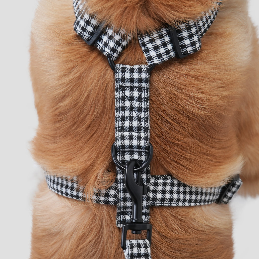 Dog is showing the back of a shepherd black and white harness on a plain background
