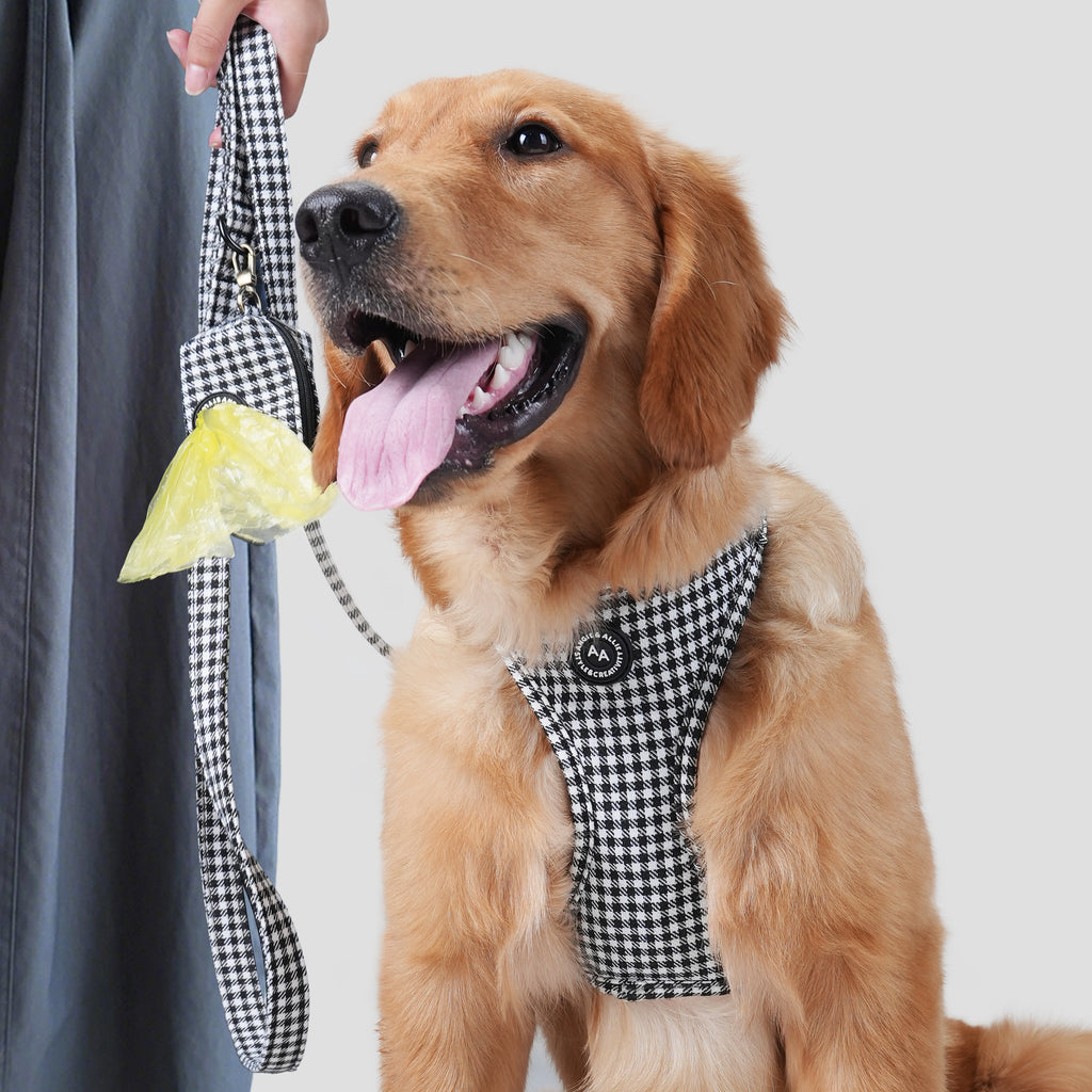 Dog wearing a shepherd black and white harness and a leash near a person