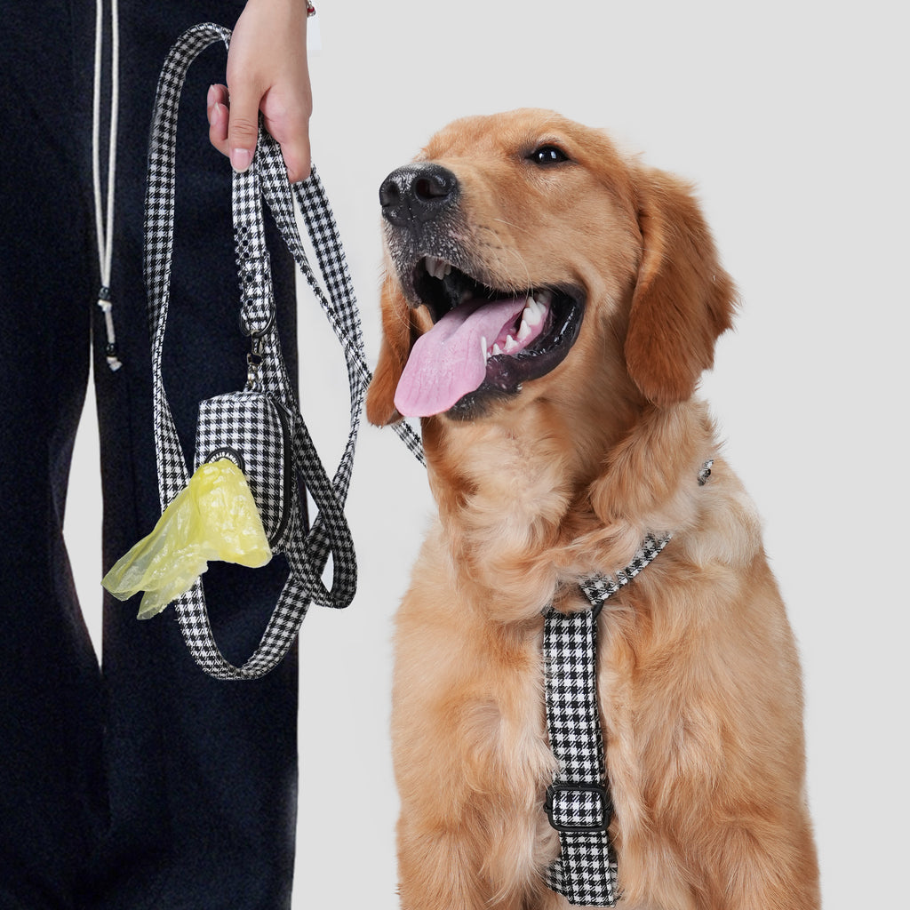 Dog wearing a Shepherd Black & White harness and leash with a person holding the leash on a plain background