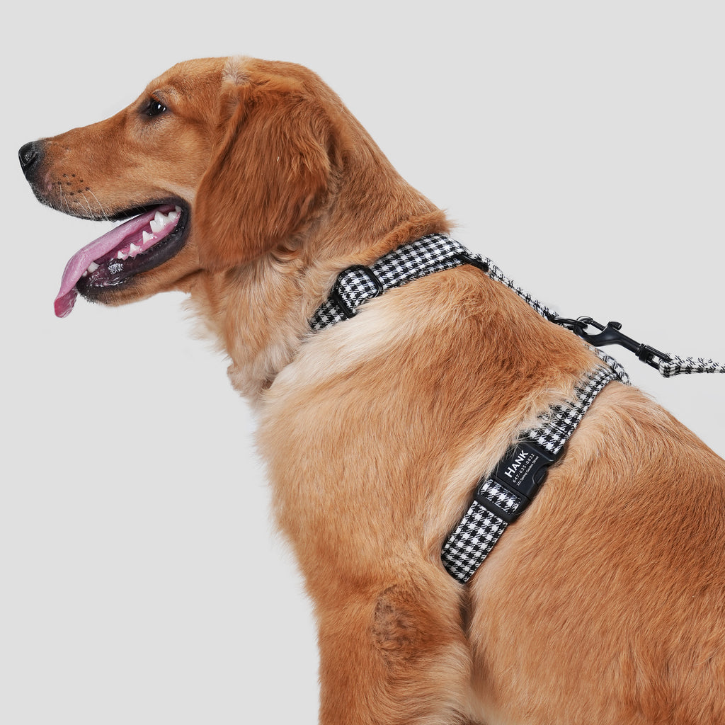 100% Cotton Adjustable No Pull Dog Harness Shepherd Black & White dog wearing the harness side