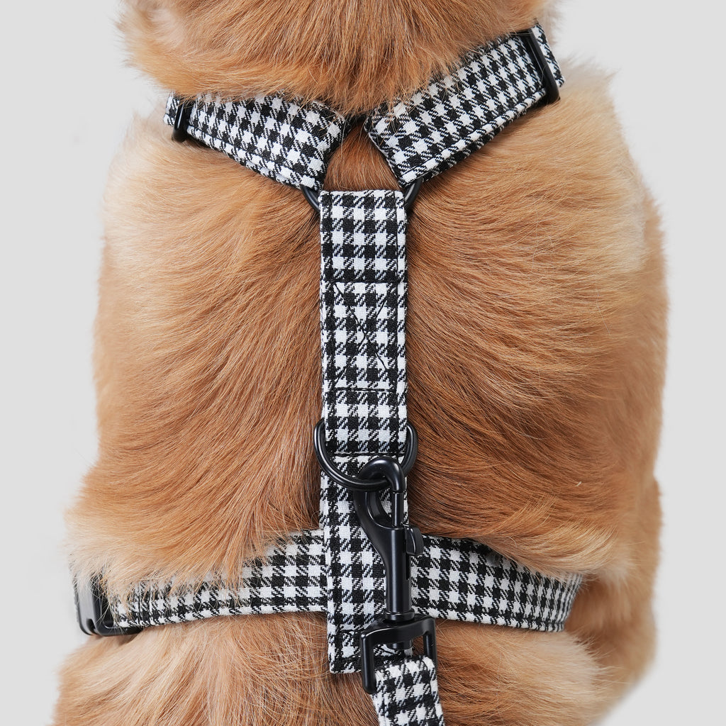 100% Cotton Adjustable No Pull Dog Harness Shepherd Black & White dog wearing the harness back