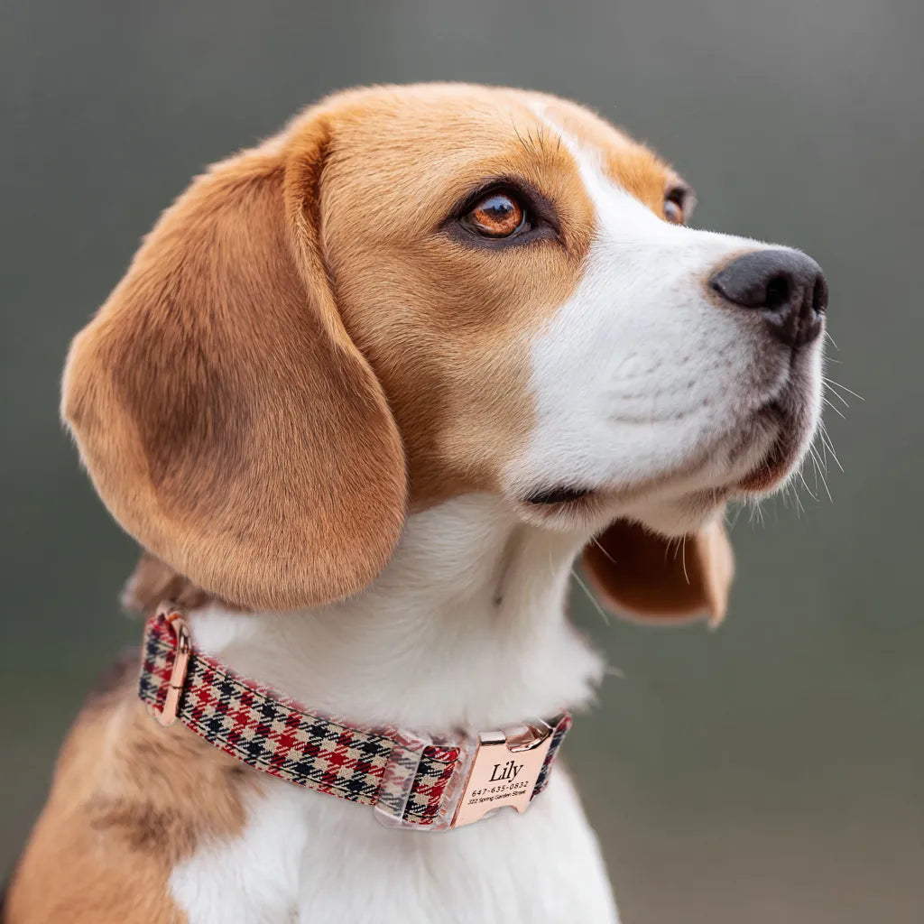 Dog wears 100% Cotton Personalized Dog Collar Engraved Rose Gold  Shepherd two Tone side