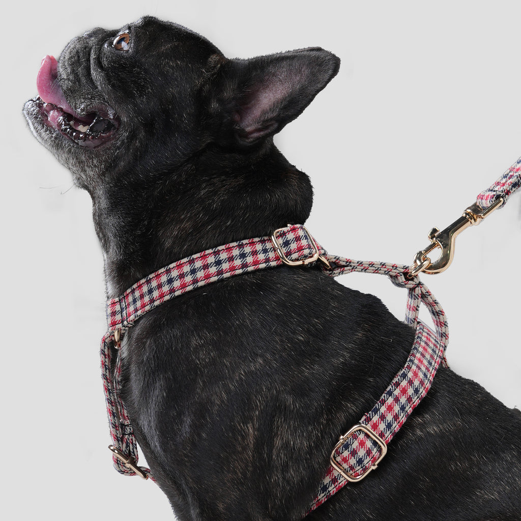 100% Cotton Adjustable No Pull Dog Harness Shepherd Two Tone dog wearing the harness side