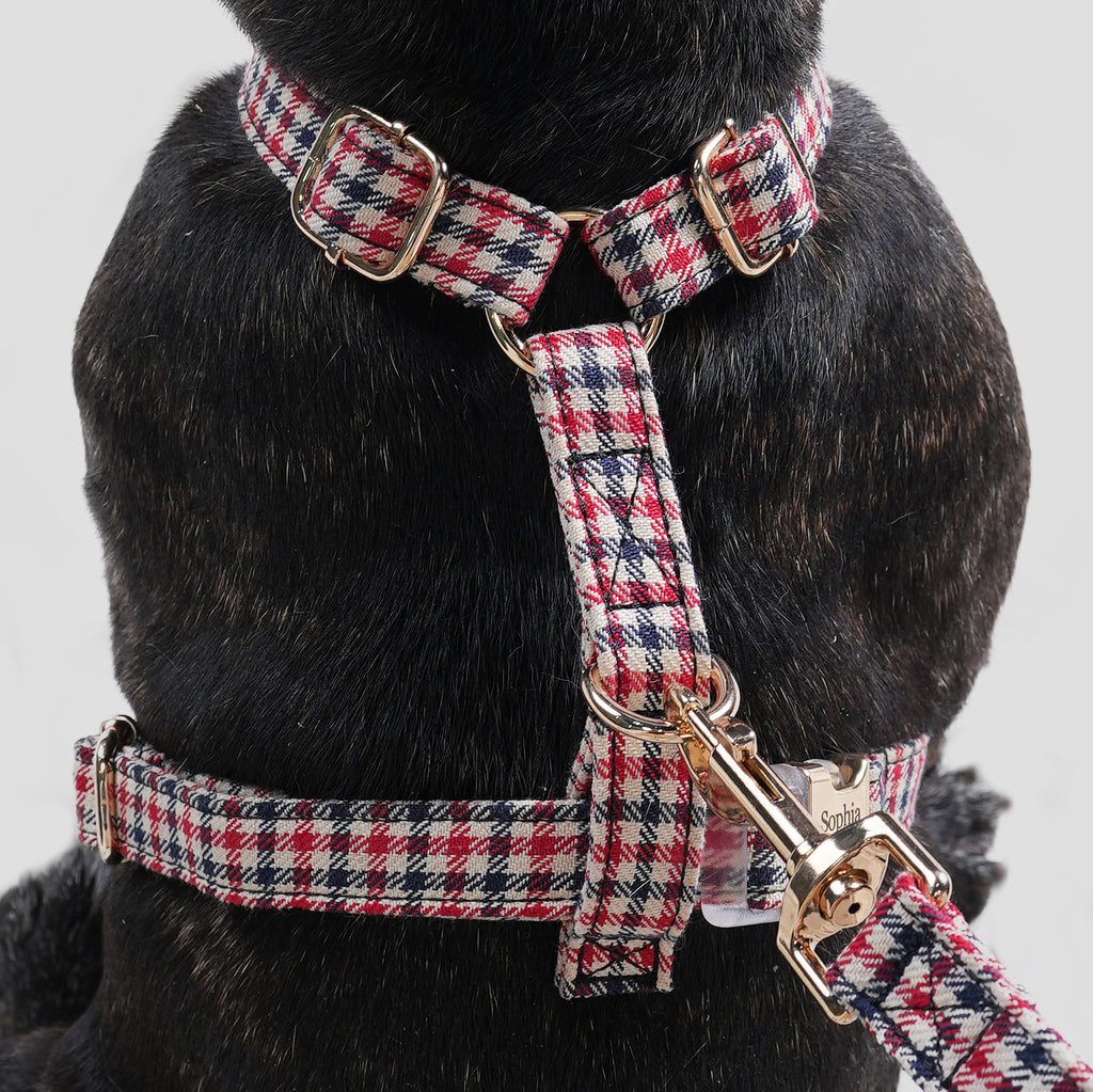 100% Cotton Adjustable No Pull Dog Harness Shepherd Two Tone dog wearing the harness back