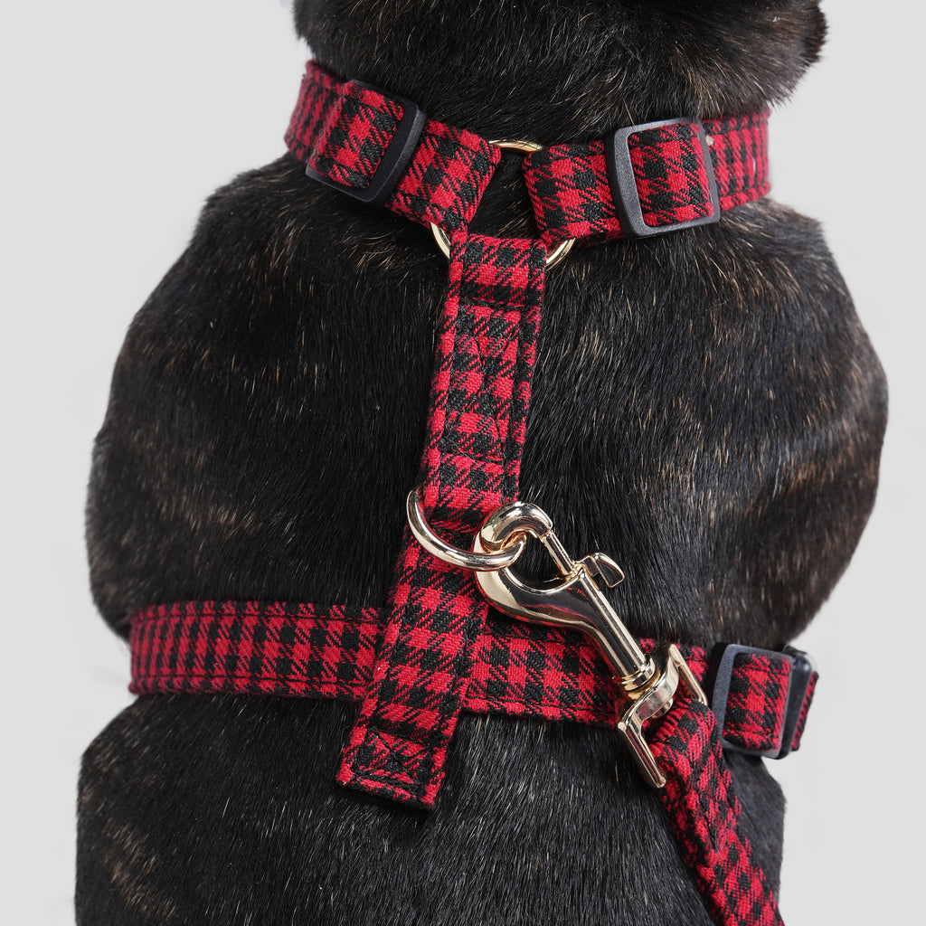 100% Cotton Adjustable No Pull Dog Harness Shepherd Red dog wearing the harness back