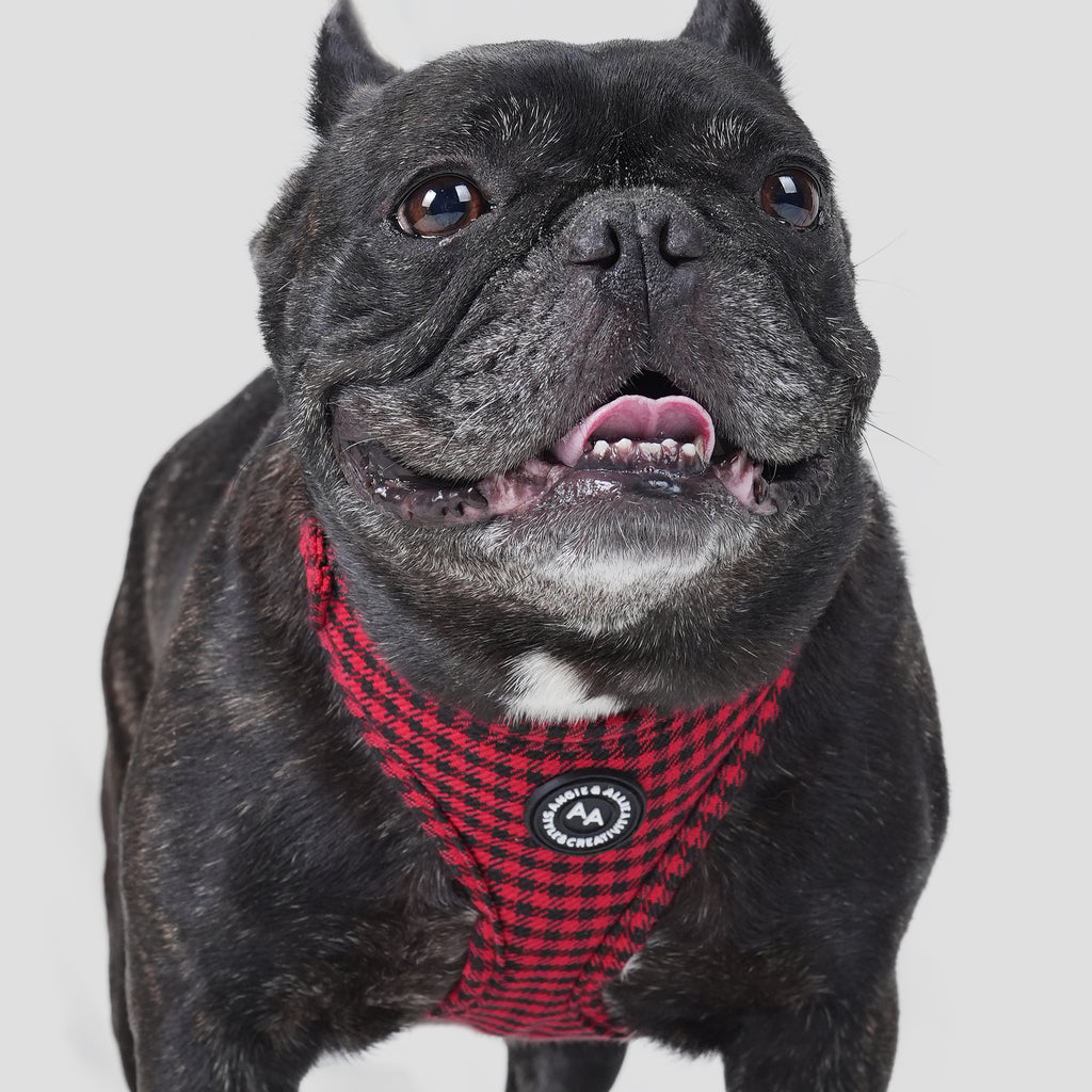 100% Cotton Adjustable No Pull Dog Harness Shepherd Red dog wearing the harness front