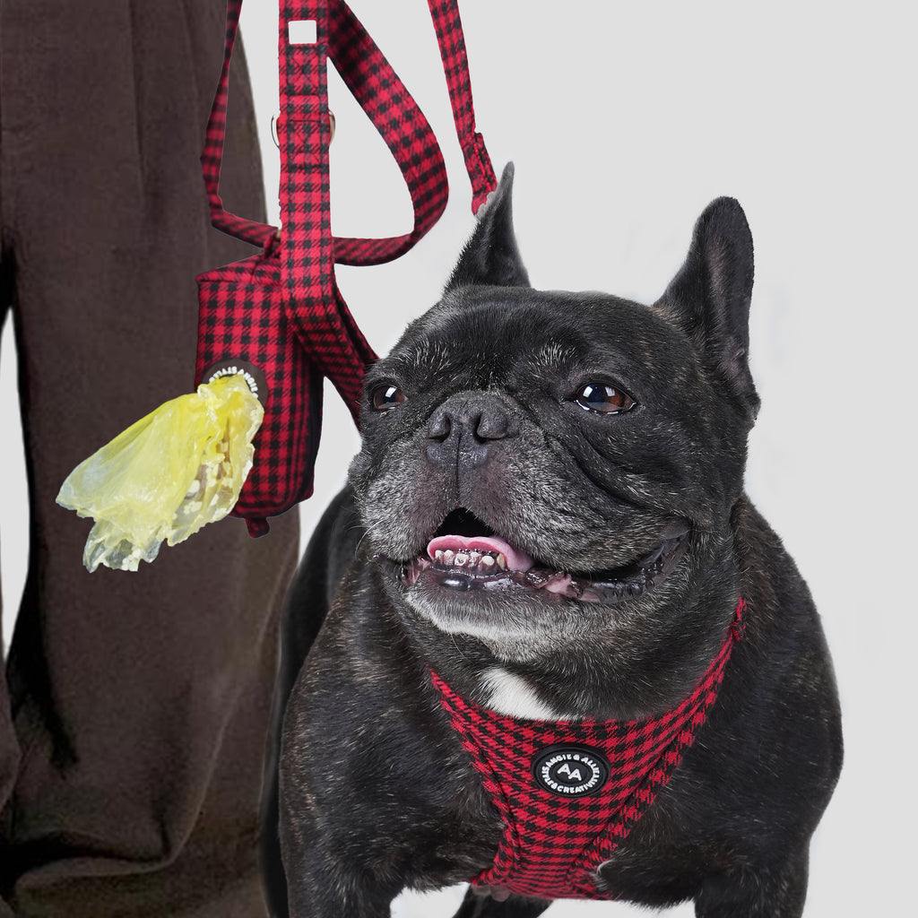 Black dog wearing a red Shepherd Red harness with a person holding a poop bag in the background