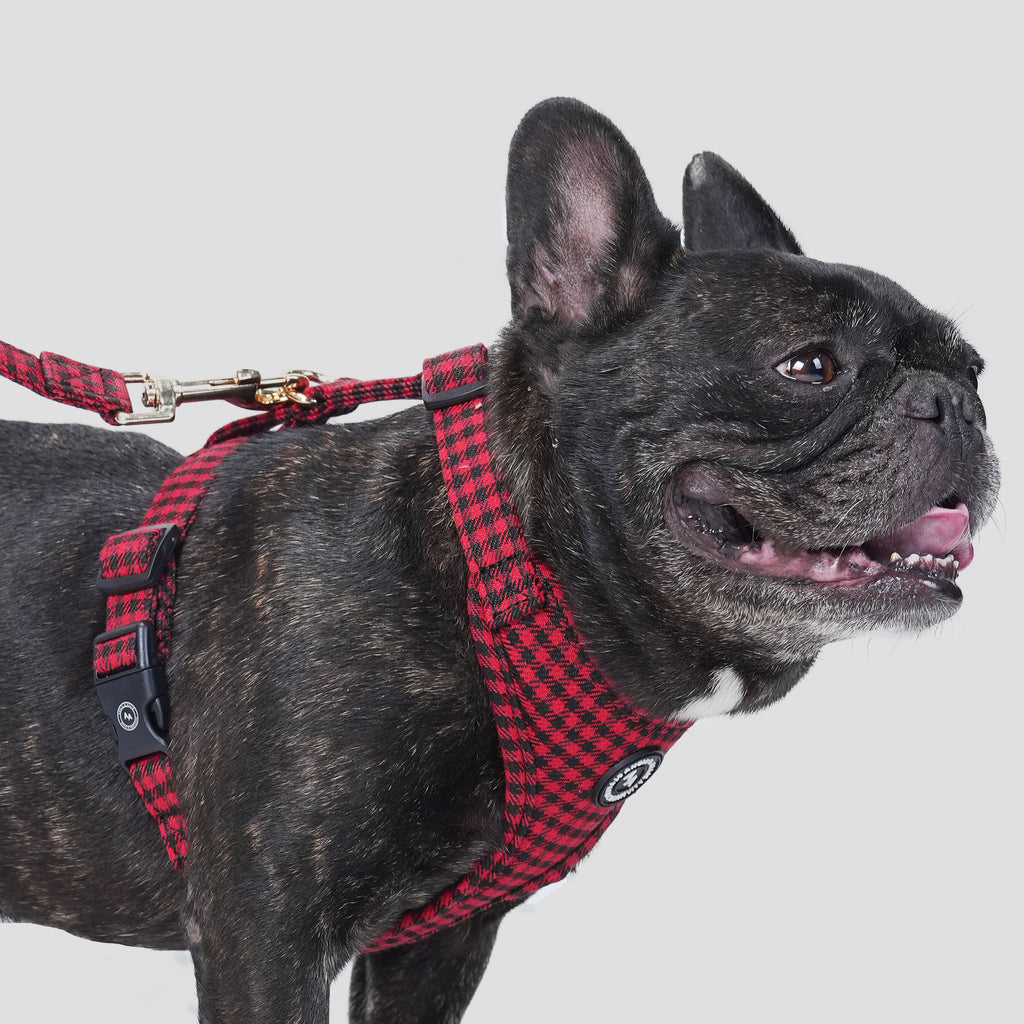 100% Cotton Adjustable No Pull Dog Harness Shepherd Red dog wearing the harness side