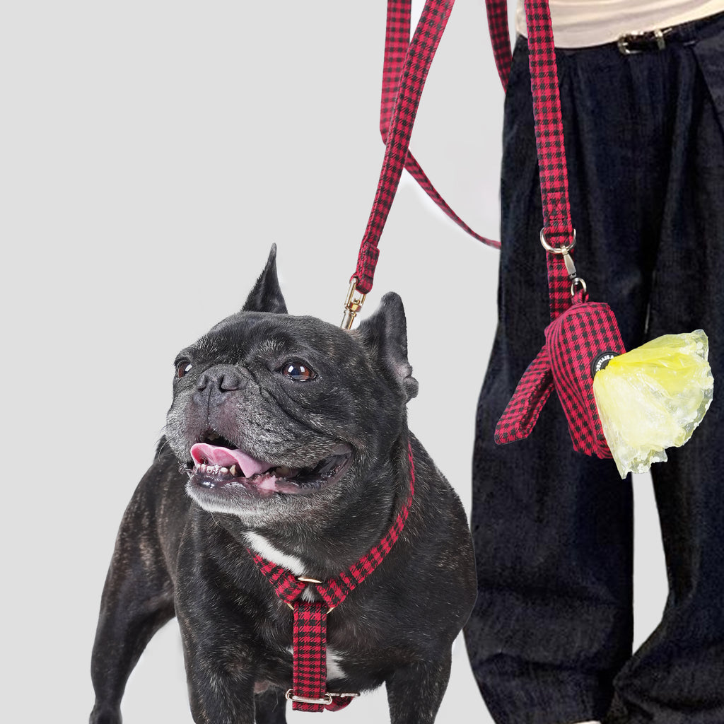 Black dog on a red Shepherd Red harness and a leash with a person holding a poop bag against a light gray background