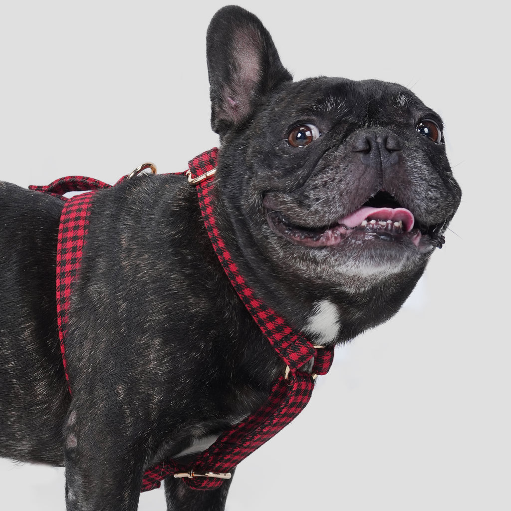 100% Cotton Adjustable No Pull Dog Harness Shepherd Red dog wearing the harness side