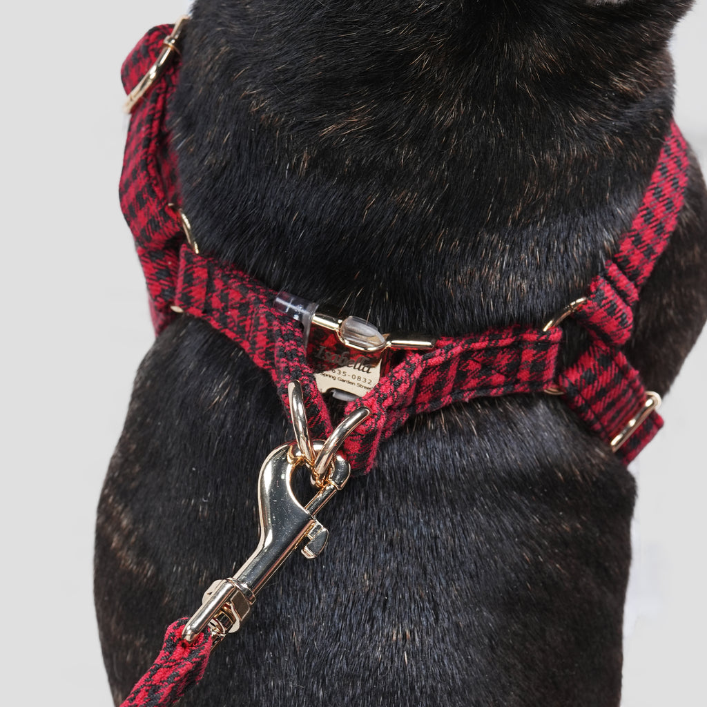 100% Cotton Adjustable Step-In Dog Harness Gold Shepherd Red dog wearing the harness back