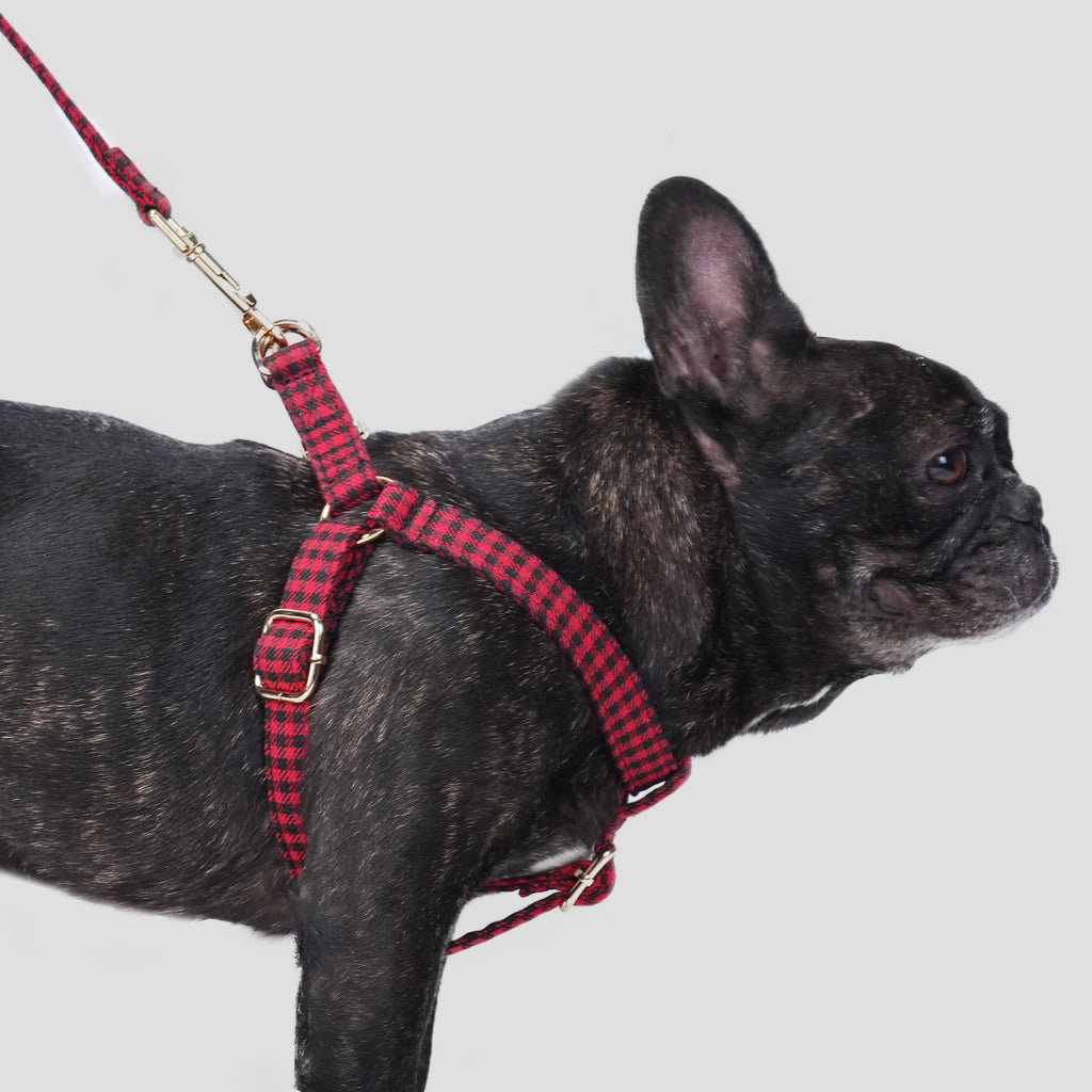 100% Cotton Adjustable Step-In Dog Harness Gold Shepherd Red dog wearing the harness side