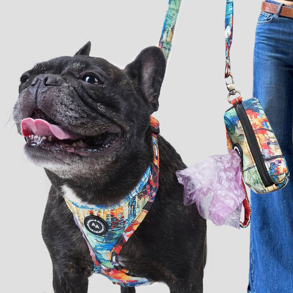 Black dog wearing a French Countryside harness with a matching leash and poop bag on a plain background
