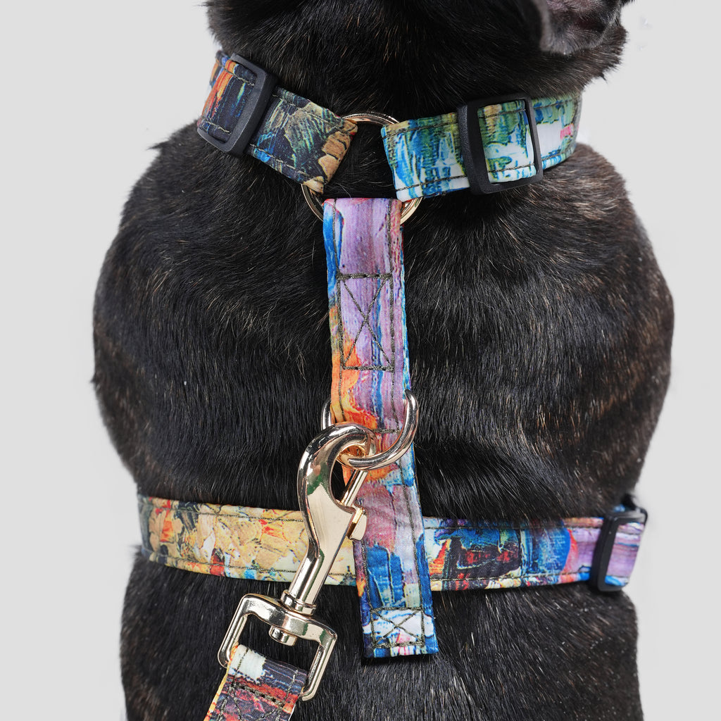 100% Cotton Adjustable No Pull Dog Harness French Countryside dog wears  the harness back