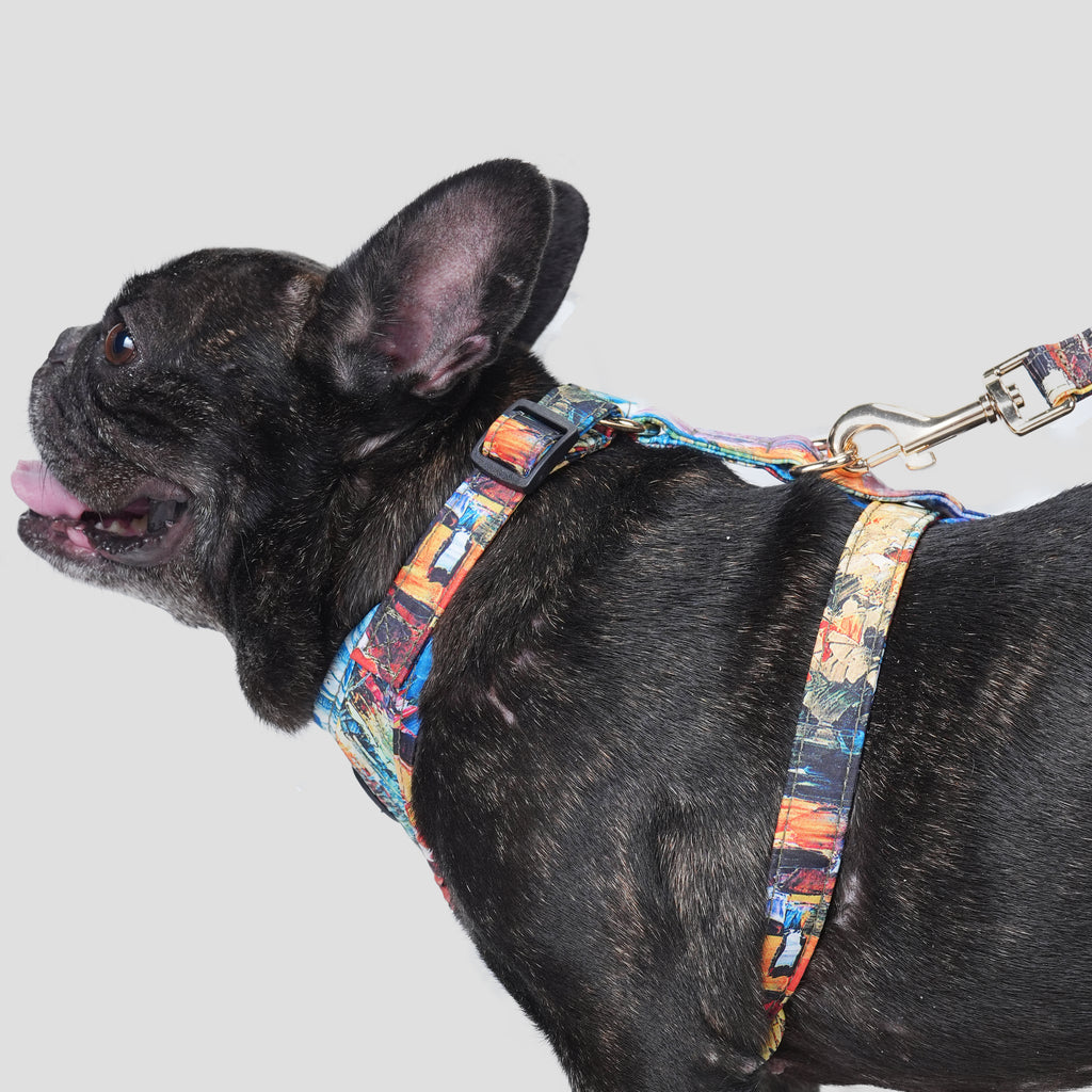 100% Cotton Adjustable No Pull Dog Harness French Countryside dog wears  the harness side
