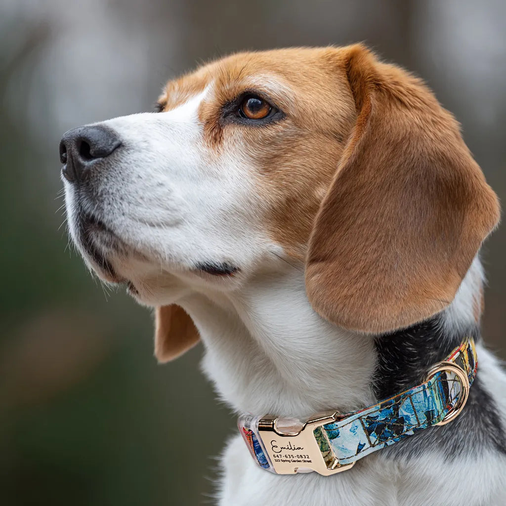 Dog wears 100% Cotton Personalized Dog Collar Engraved Gold French Countryside 