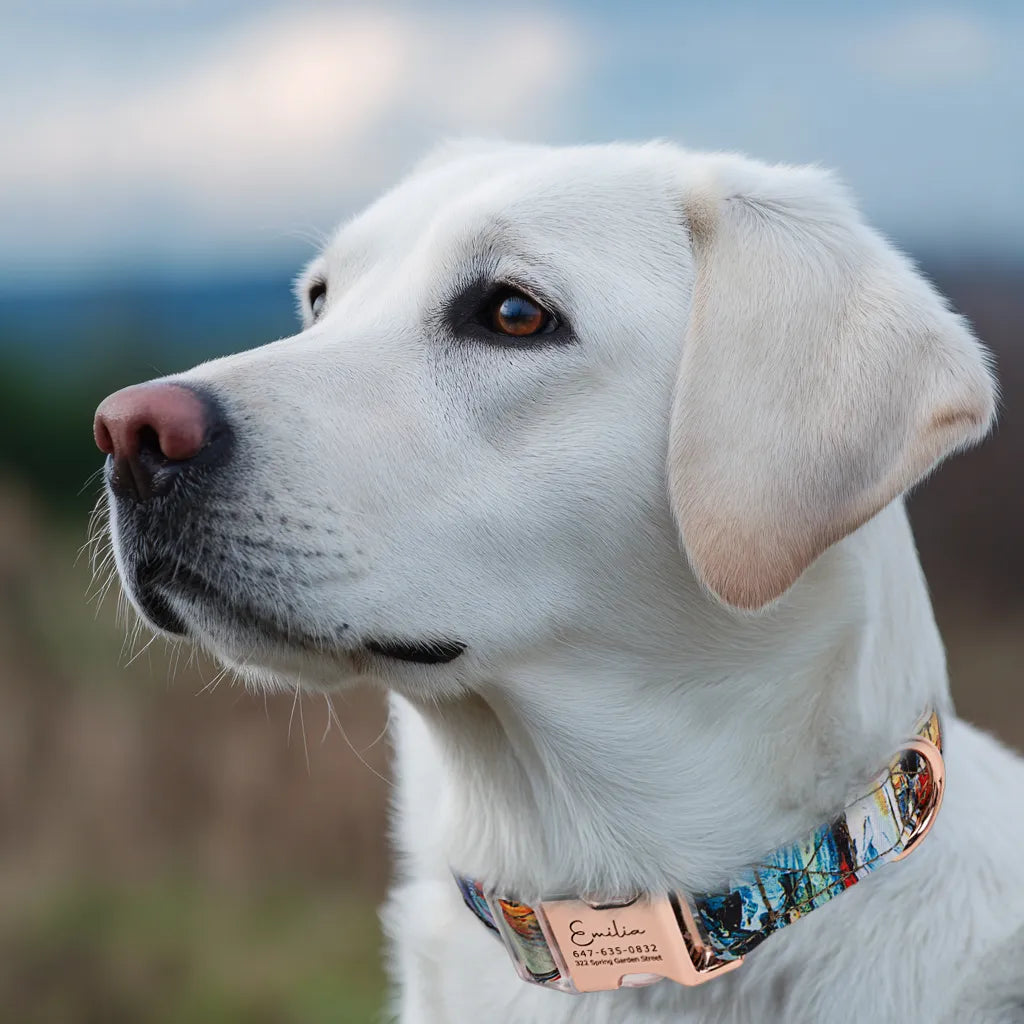 Dog wears 100% Cotton Personalized Dog Collar Engraved Rose Gold French Countryside 