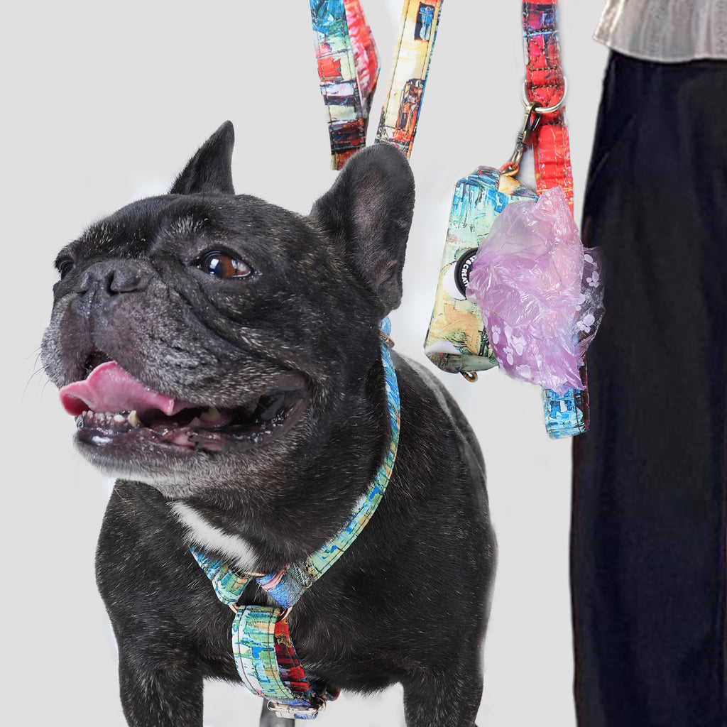 Black dog wearing a French Countryside harness with a plain background