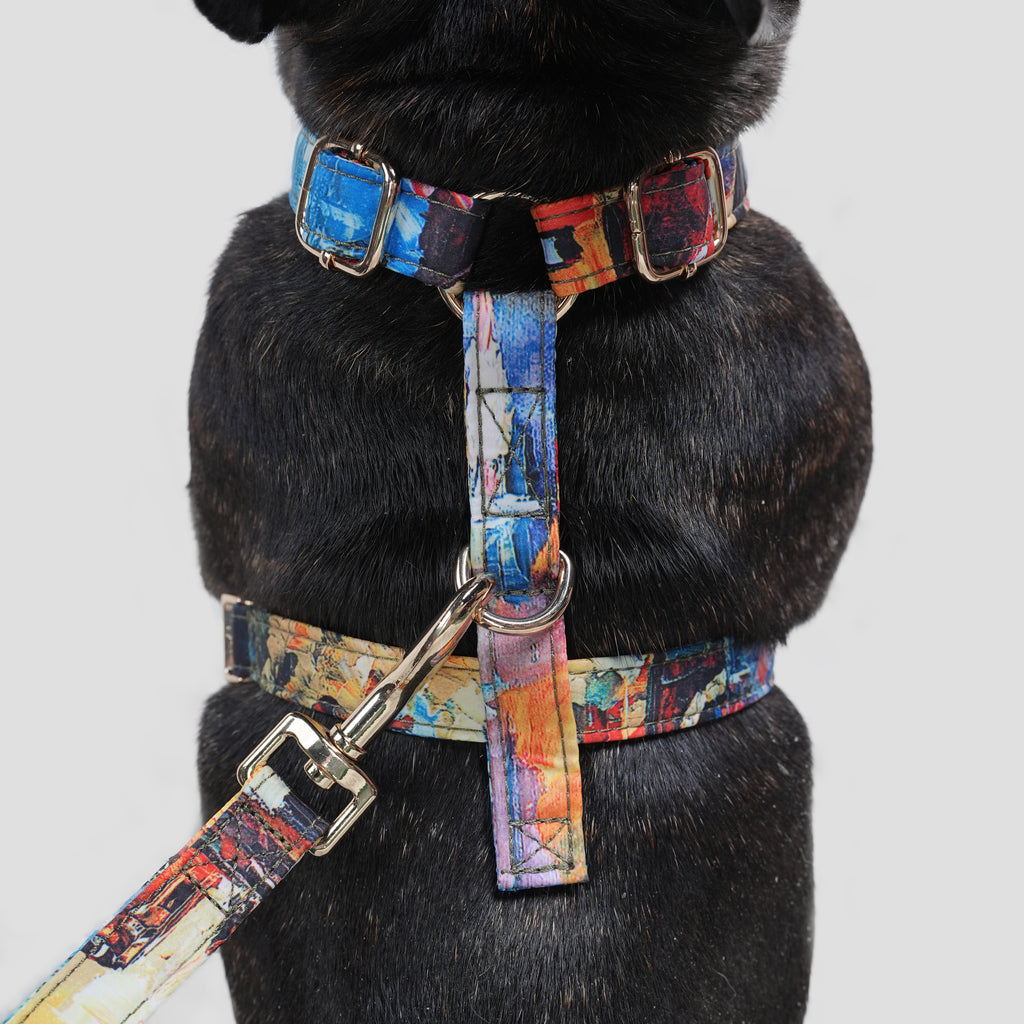 100% Cotton Adjustable No Pull Dog Harness French Countryside dog wears the harness back
