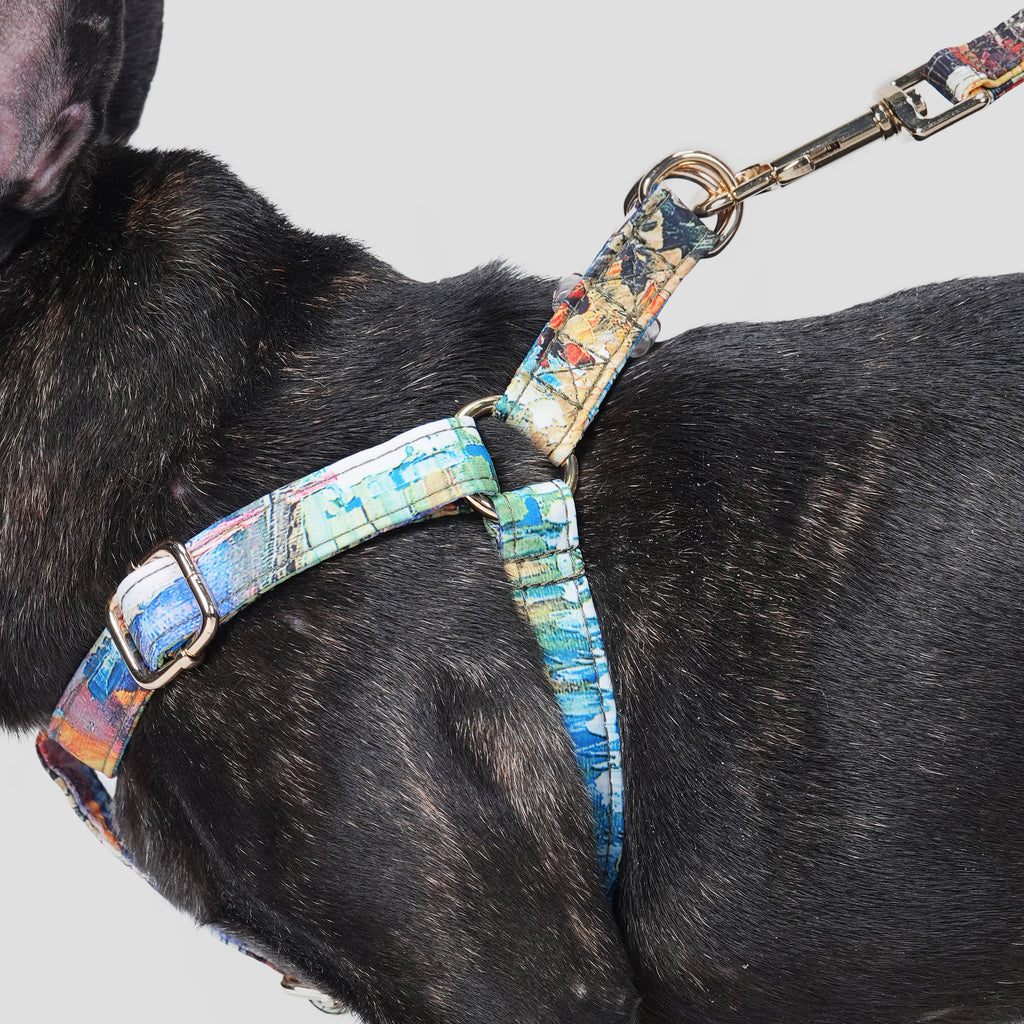 100% Cotton Adjustable Step-In Dog Harness Gold French Countryside dog wears the harness side