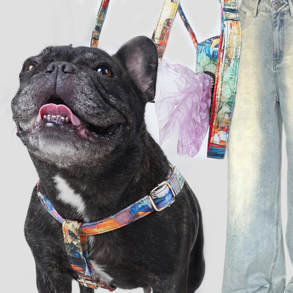 Dog wearing a French Countryside harness with a leash and a poop bag near a person in the background