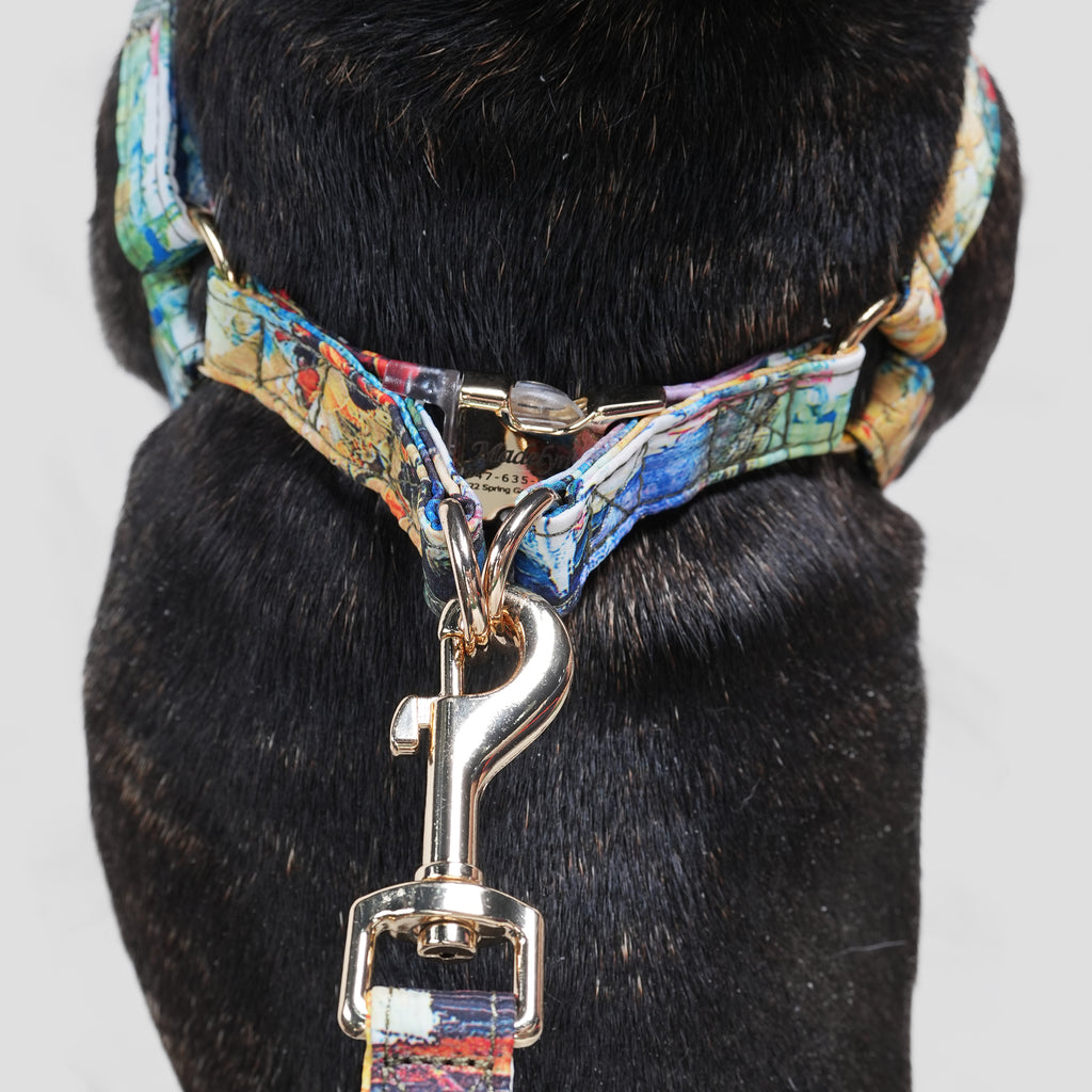 100% Cotton Adjustable Step-In Dog Harness Gold French Countryside dog wears the harness back