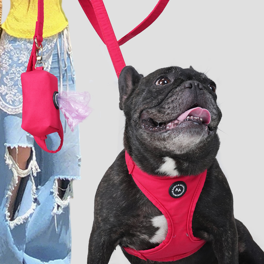 A dog wearing a Poinciana Red harness with a leash and poop bag near a person on a light gray background