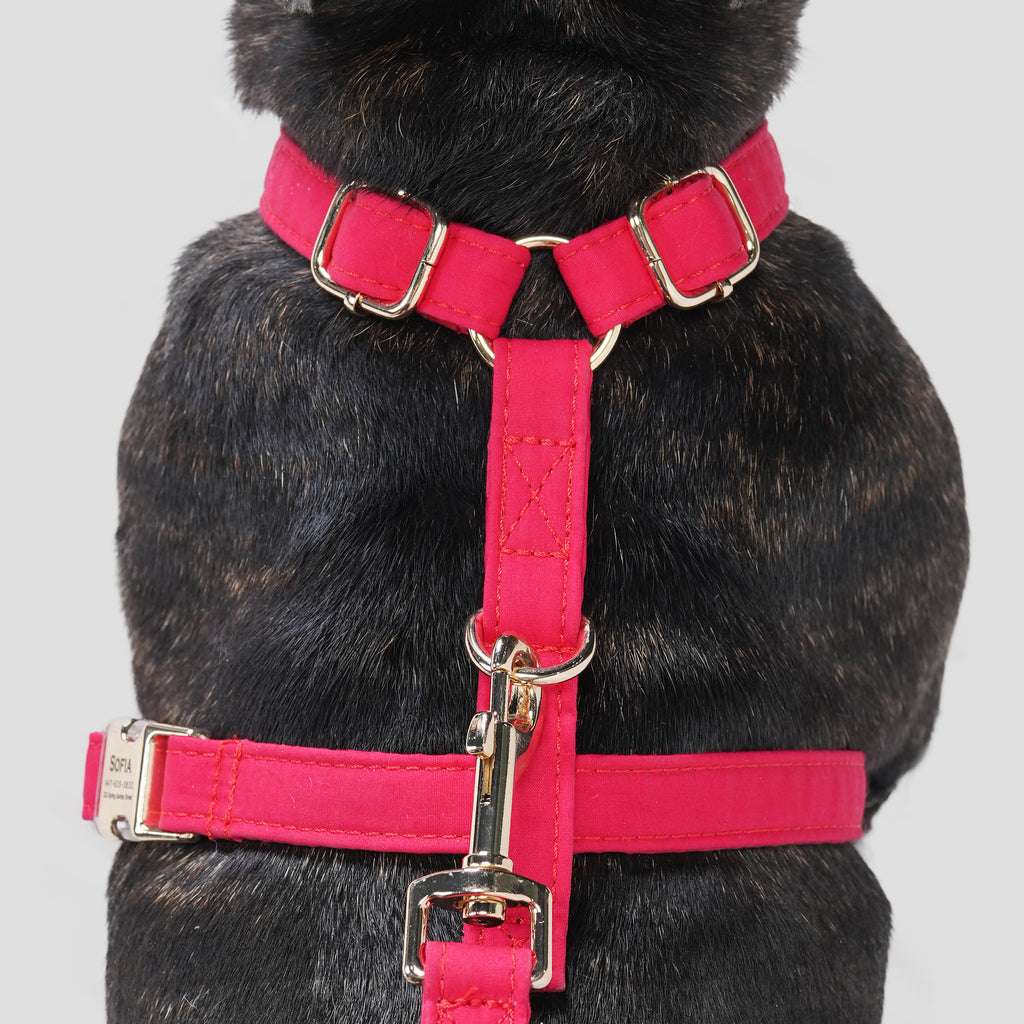 100% Cotton Adjustable No Pull Dog Harness Poinciana Red dog wears the harness back