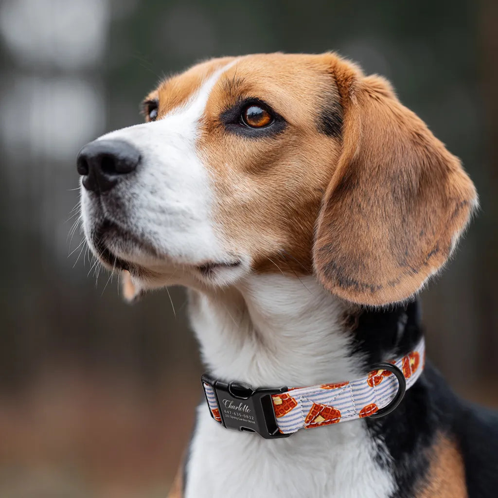 Dog wears 100% Cotton Personalized Dog Collar Engraved Black Butter Waffles