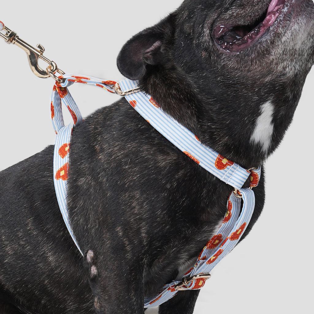 100% Cotton Adjustable No Pull Dog Harness Butter Waffles dog wearing the harness side