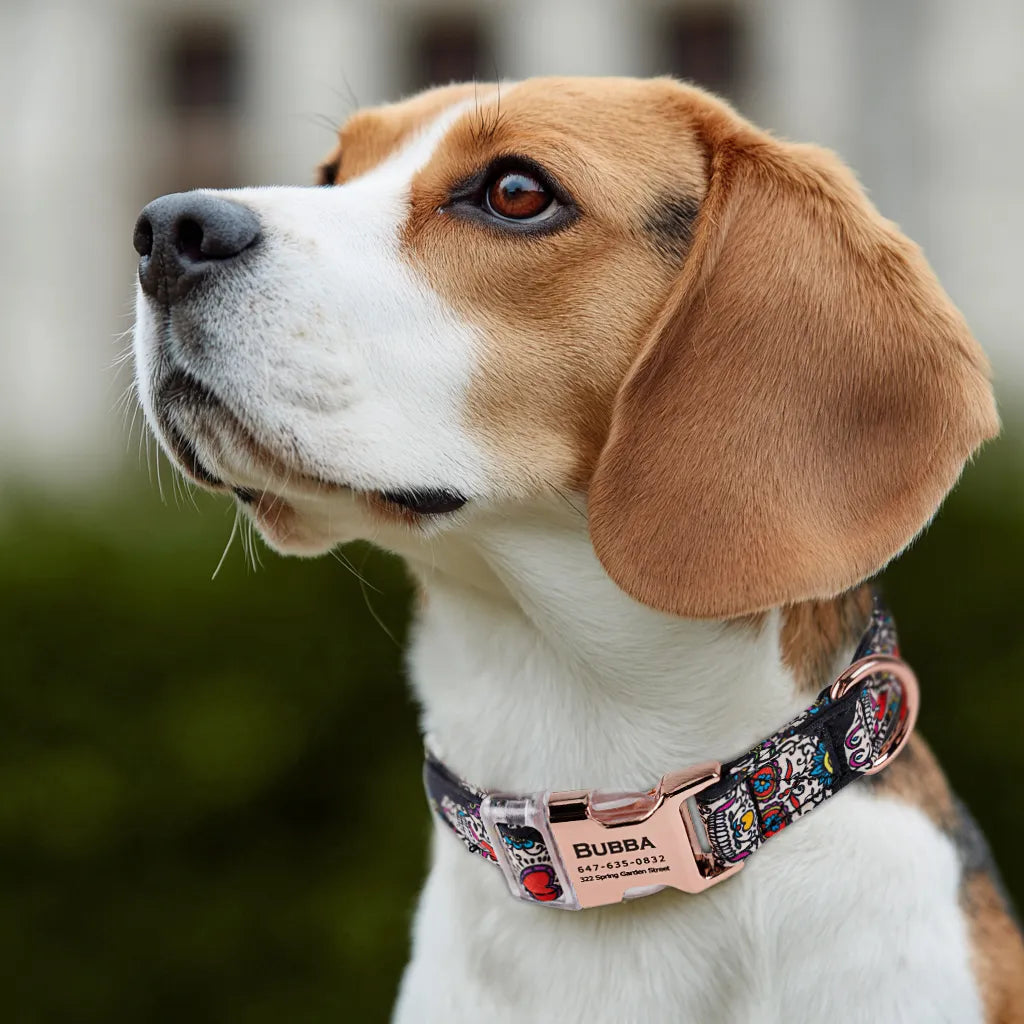 Dog wears 100% Cotton Personalized Dog Collar Engraved Rose Gold Sugar Skull