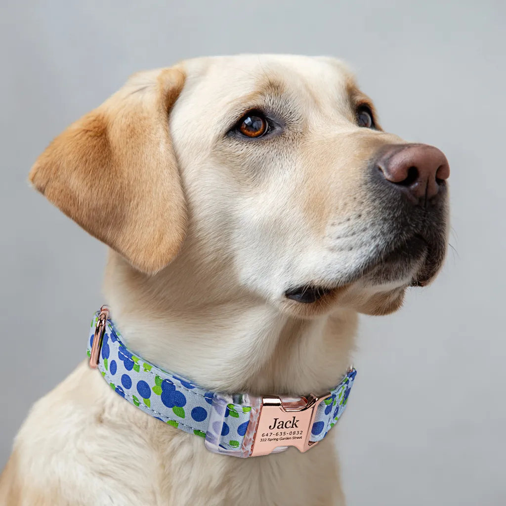 Dog wears 100% Cotton Personalized Dog Collar Engraved Rose Gold  Blueberry