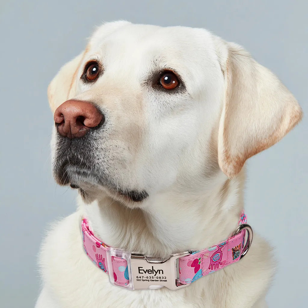 Dog wears 100% Cotton Personalized Dog Collar Engraved Silver luna 