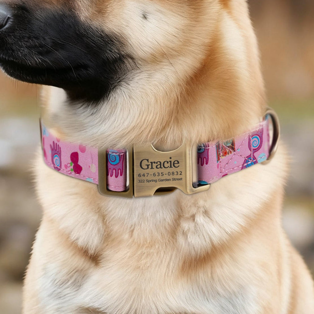 100% Cotton Personalized Dog Collar Engraved luna lovegood BRASS MODEL