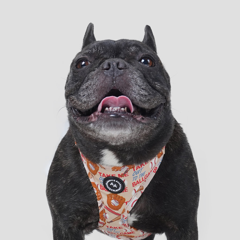 100% Cotton Adjustable No Pull Dog Harness Baseball dog wearing the harness front