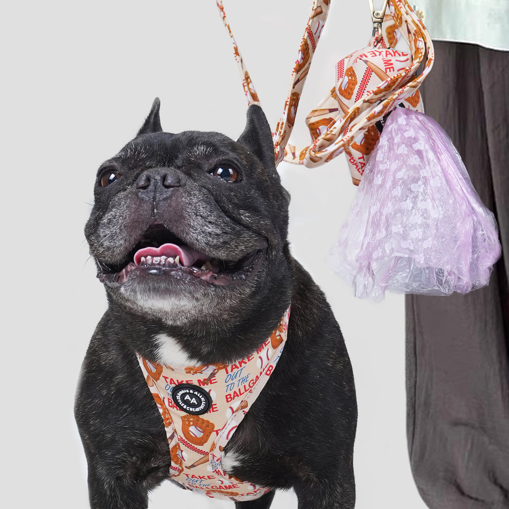 A dog with a baseball patterned harness with a leash and a poop bag standing next to a person